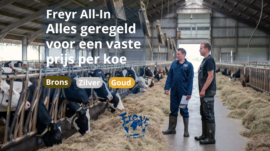 Bovenste afbeelding