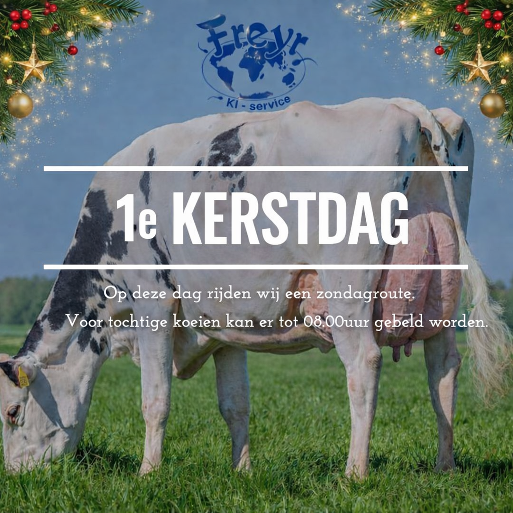 1e Kerstdag - zondagroute Freyr KI-service