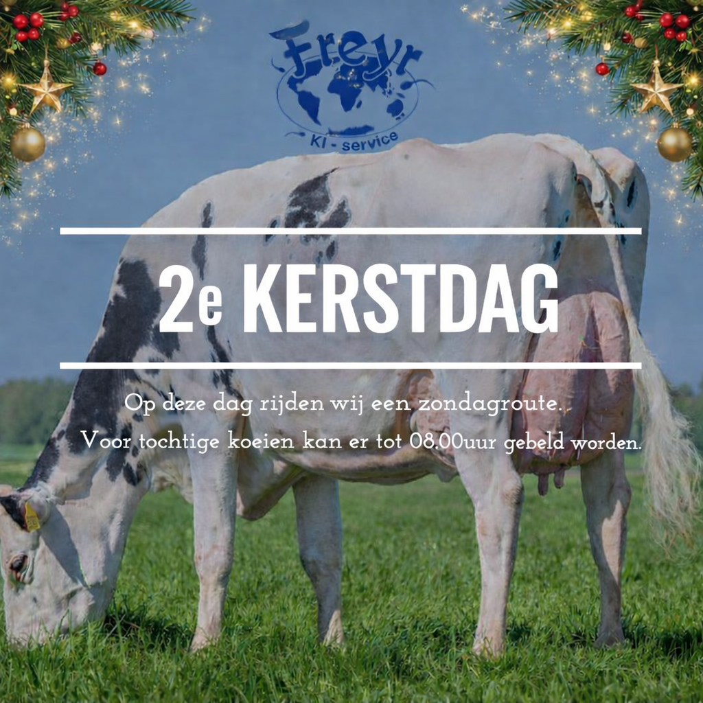 2e Kerstdag - zondagroute Freyr KI-service