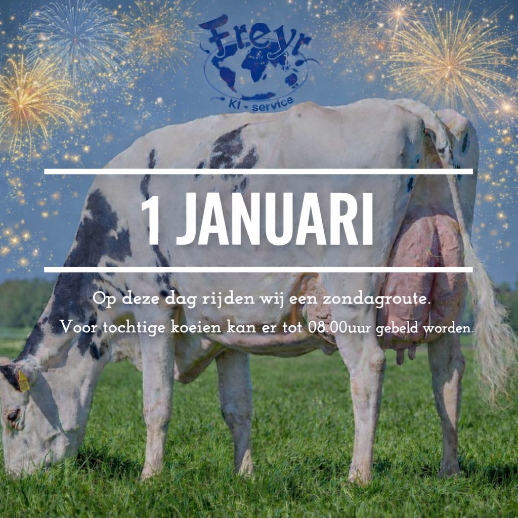 1 januari - zondagroute Freyr KI-service