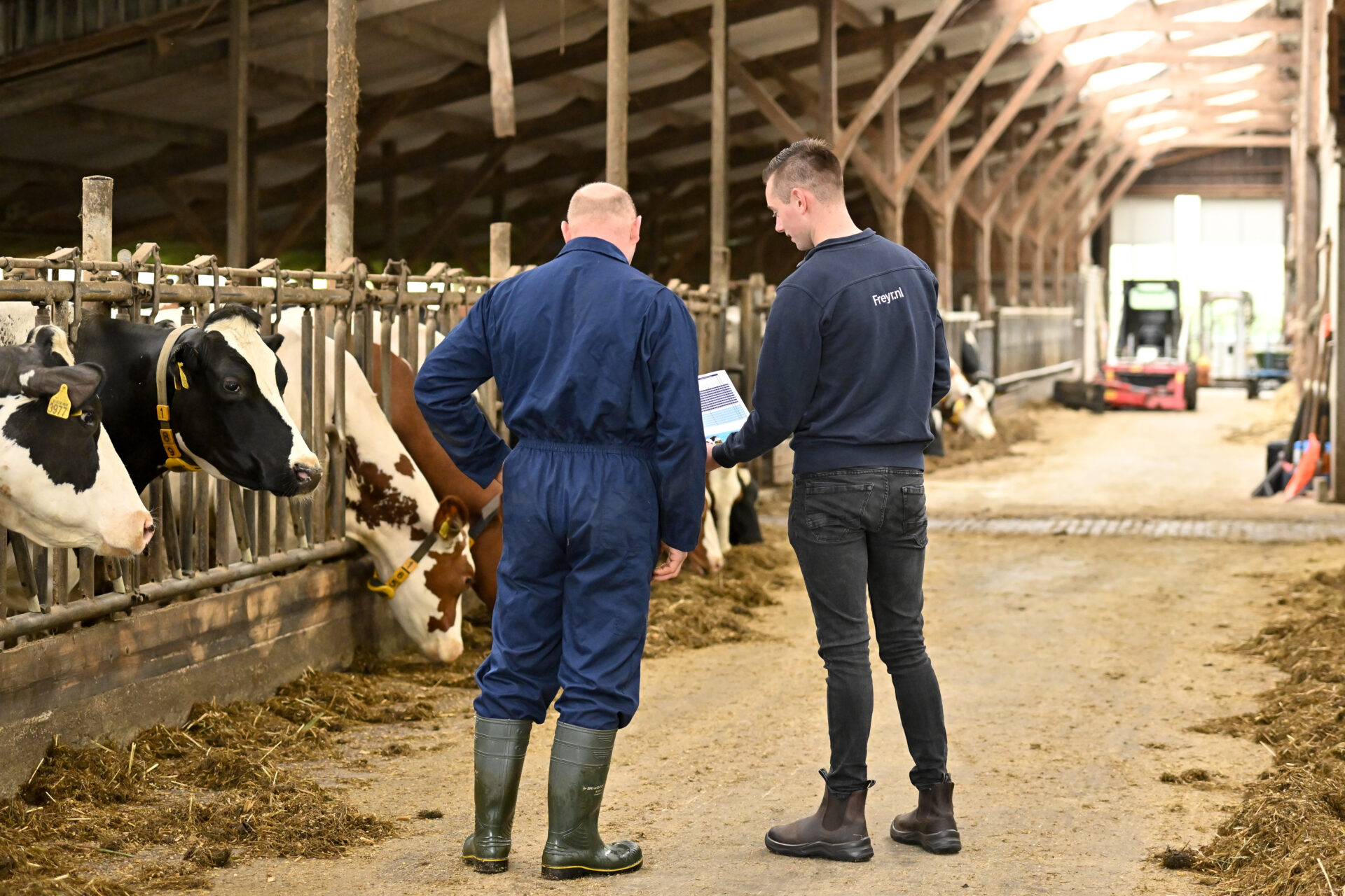 Vacature fokkerijadviseur melkveehouderij bij Freyr KI